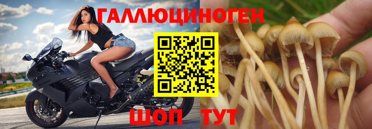 Псилоцибиновые грибы ЛСД Нижний Новгород
